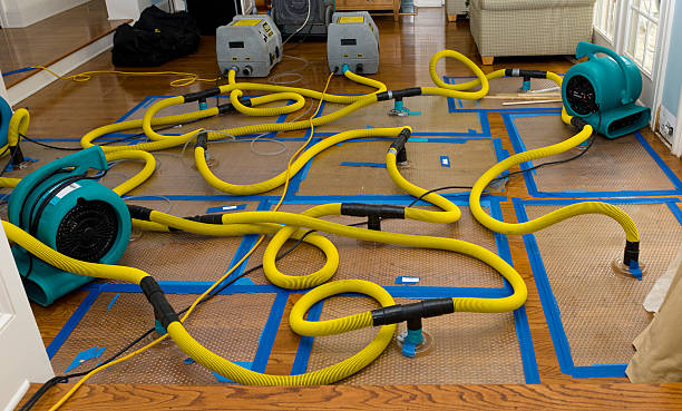Professional Water Damage Restoration technician working in Janesville, IA